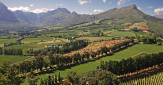 Cape Winelands