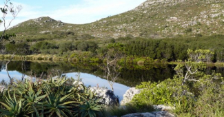 Silvermine Nature Reserve