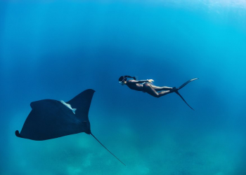 Freediving