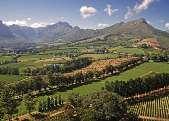 Cape Winelands