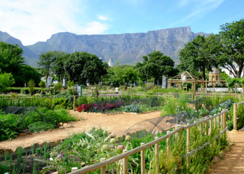 Company’s Garden
