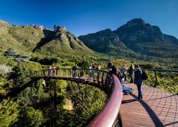 Kirstenbosch Botanical Gardens