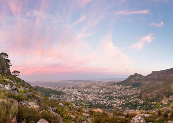 Lion’s Head