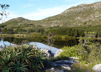 Silvermine Nature Reserve